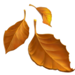 Herfst recepten